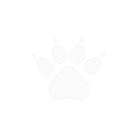 Kelme Рюкзак MILAGROS 8301BB5051.000